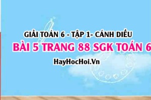 Giải bài 5 trang 88 Toán 6 Tập 1 SGK Cánh Diều